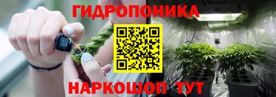 spice Новозыбков