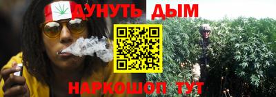 spice Новозыбков